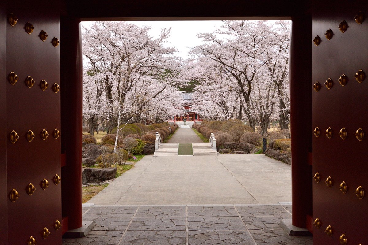 ⛩️ 스와 신사 (스와진자) 이미지 8